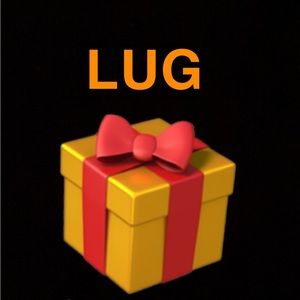 Lug SURPRISE Accessories box
